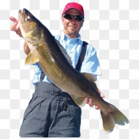 Good Will Fishing - Lunge, HD Png Download - fishing png