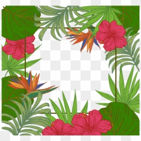 Borders Leaves Green With Flowers, HD Png Download - tropical png