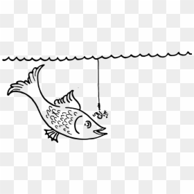 1/2 Day Fishing Trip - Balık Tutma Kolay Çizim, HD Png Download - fishing png