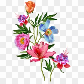Vector Flower Plant, HD Png Download - tropical png