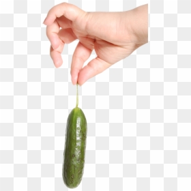 Hand Holding Food Png, Transparent Png - cucumber png