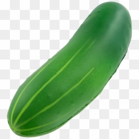 Zucchini, HD Png Download - cucumber png