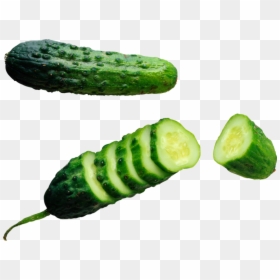Half Sour Pickle Clipart, HD Png Download - cucumber png