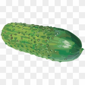 Cucumber Png, Transparent Png - cucumber png