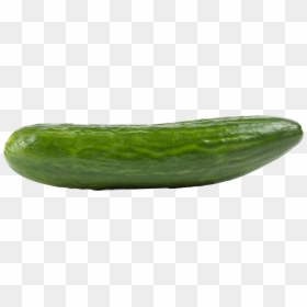 Cucumber Walmart, HD Png Download - cucumber png