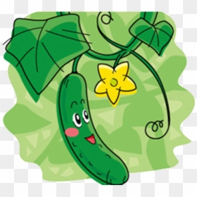 Cartoon Cucumber Plant, HD Png Download - cucumber png