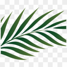 Watercolor Tropical Leaves Png, Transparent Png - palm leaves png