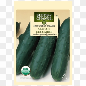 Seeds Of Change, HD Png Download - cucumber png