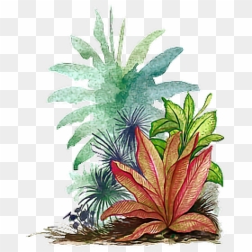 Tropical Leaves Png, Transparent Png - tropical leaves png