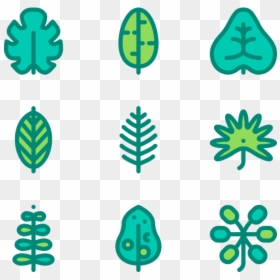 Clip Art, HD Png Download - tropical leaves png