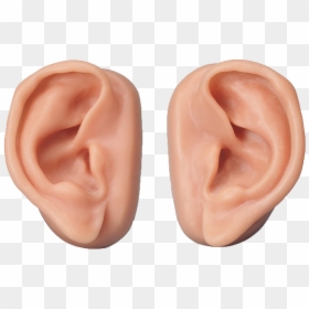 Ear Png, Transparent Png - ear png