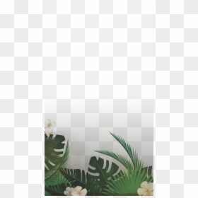 Palm Leaf Snapchat Filter, HD Png Download - tropical leaves png