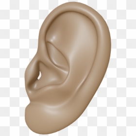 Human Ear Transparent Background, HD Png Download - ear png