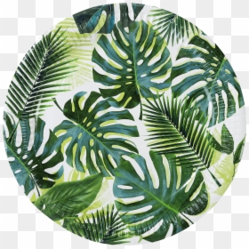 Jungle Paper Plates, HD Png Download - palm leaves png