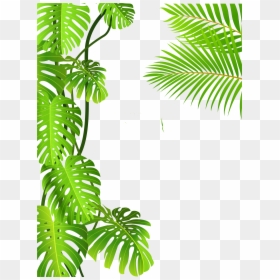 Tropical Rainforest Jungle Png, Transparent Png - tropical leaves png