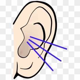Listening Clipart Ear, HD Png Download - ear png
