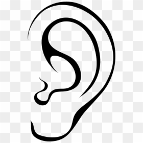 Ear Clipart Black And White, HD Png Download - ear png