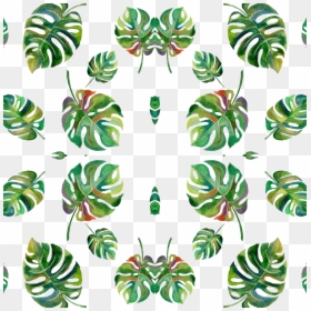 Portable Network Graphics, HD Png Download - tropical leaves png