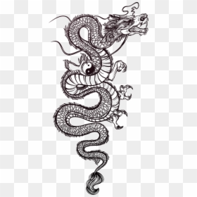 Chinese Dragon Tattoo Drawing, HD Png Download - spray paint png
