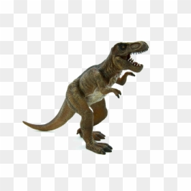 Tyrannosaurus Rex , Png Download - T Rex Stegosaurus Dinosaur, Transparent Png - animal planet png
