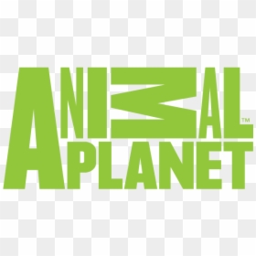 Animal Planet Hd - Animal Planet, HD Png Download - animal planet png