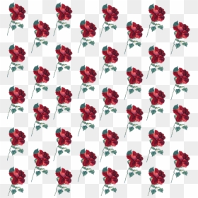 #rose #pattern #flower #background #cute #freetoedit - Hybrid Tea Rose, HD Png Download - rose pattern png