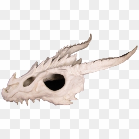 Skull, HD Png Download - dragon skull png