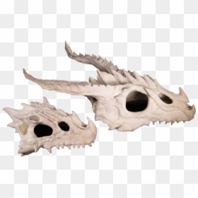 Dragon Skull, HD Png Download - dragon skull png