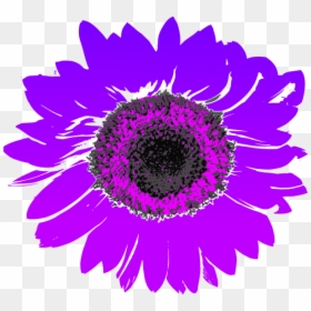 Sunflower Transparent Drawing , Transparent Cartoons - Sunflower No Background Painted, HD Png Download - sunflower drawing png