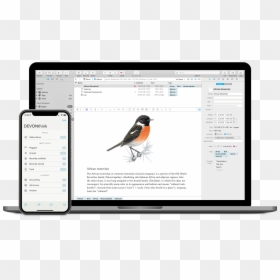 Devonthink, HD Png Download - mac 11 png