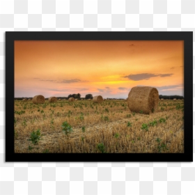 Grass, HD Png Download - haystack png