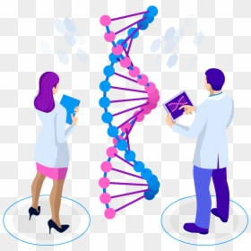 Transparent Dna Icon Png - Adn Isometric, Png Download - dna vector png