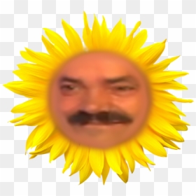 Teletubbies Png -soleil Teletubbies Png - Png Portable Network Graphics Format, Transparent Png - tinky winky png