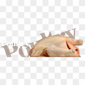 Turkey, HD Png Download - chicken meat png