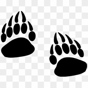 Grizzly Paw Print, HD Png Download - panther paw png
