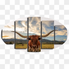 Transparent Straight Face Png - Longhorn Room Decor, Png Download - texas longhorn png