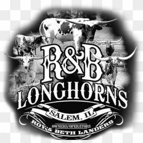 R & B Longhorns Logo - Illustration, HD Png Download - texas longhorn png