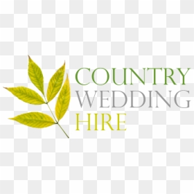 Country Wedding Hire - Herbal, HD Png Download - wooden ladder png