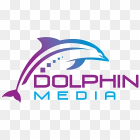 Dolphin Media - Graphic Design, HD Png Download - dolphin vector png