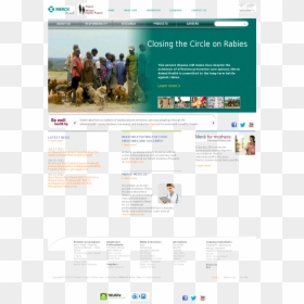 Web Page, HD Png Download - merck png