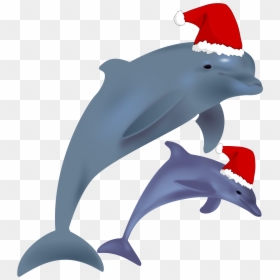 Common Bottlenose Dolphin Jumping Clip Art Christmas - Dolphin With Christmas Hat, HD Png Download - dolphin jumping png
