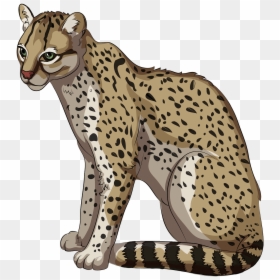 Ocelot Clipart, HD Png Download - ocelot png