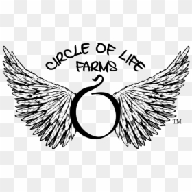 Circle Of Life Farms 😀 - Band Logo, HD Png Download - champa png