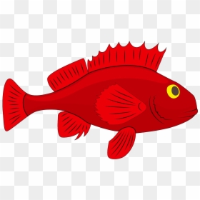 Fish For Taiapure - Ocean Clipart Fish Images Cartoon, HD Png Download - red fish png