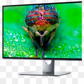 Dell 8k Monitor, HD Png Download - old computer monitor png