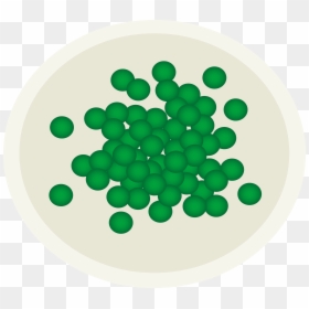 Peas Clipart, HD Png Download - plate clipart png