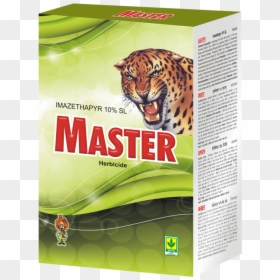 Ocelot, HD Png Download - ocelot png