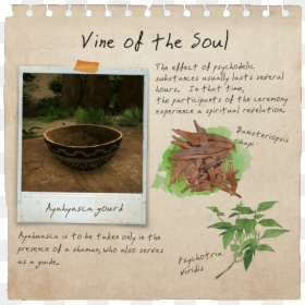Vine Of Soul Notebook Page - Herbal, HD Png Download - notebook page png