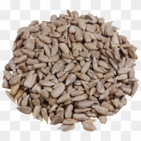 Malt, HD Png Download - sunflower seed png