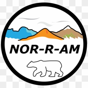 Nor R Am, HD Png Download - owen wilson png